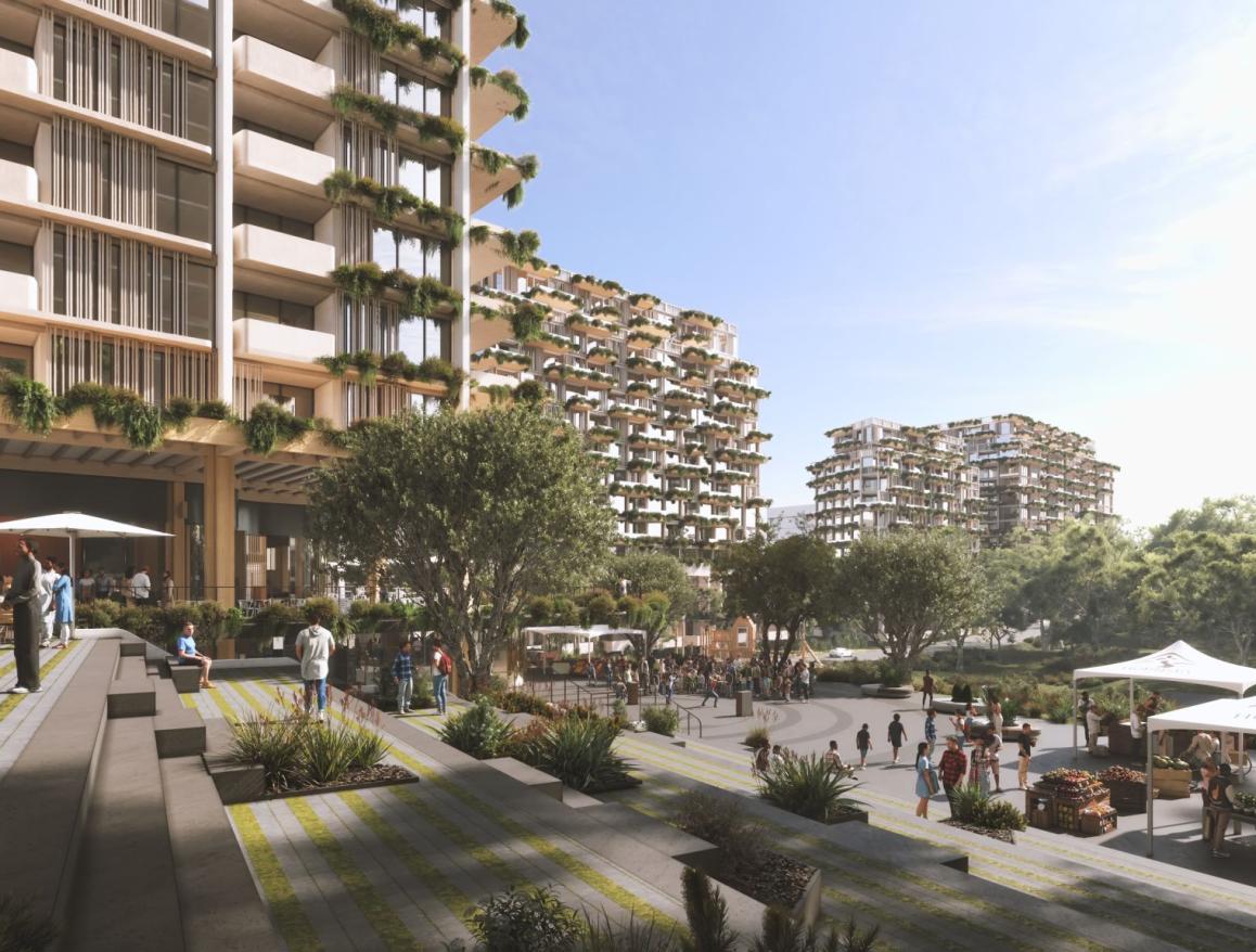 Cherrybrook Precinct Rezoning Proposal 